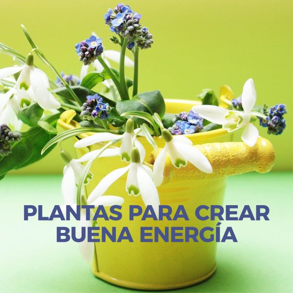 Plantas y Energía